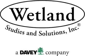 Wetland Studies and Solutions